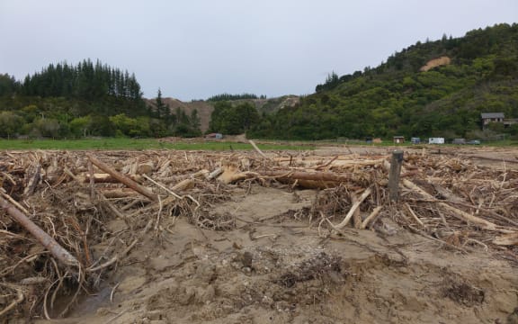 Debris from the storm across the area near Marahau.