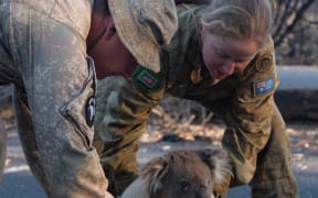 LCPL Schroder and LT Pinheiro help rescue a koala in Findlers Chase National Park.NZ Army and ADF personnel help rescue misplaced Koala at Kangaroo Island during the Australian Bushfires.