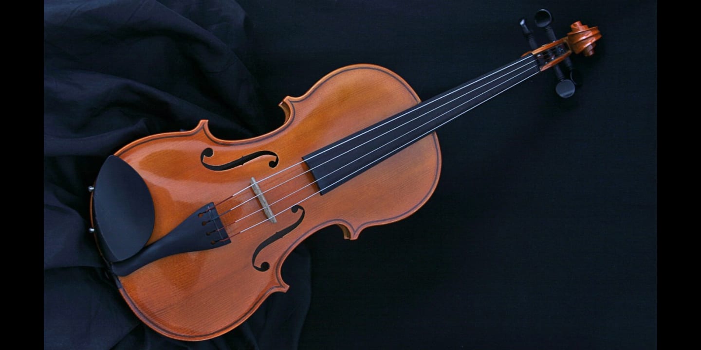 Graphic for For love of the ... viola