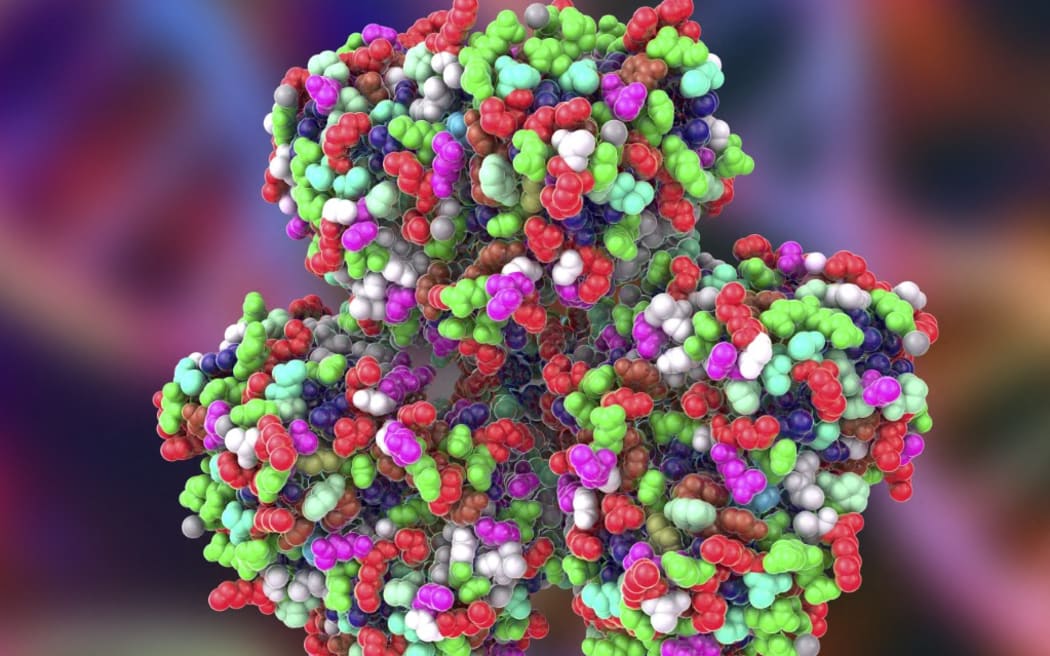 Illustration of a molecule of Huntingtin protein, the protein coded for by the HTT gene. Mutated HTT is the cause of Huntington's disease, a neurodegenerative disease, also known as Huntington's chorea.