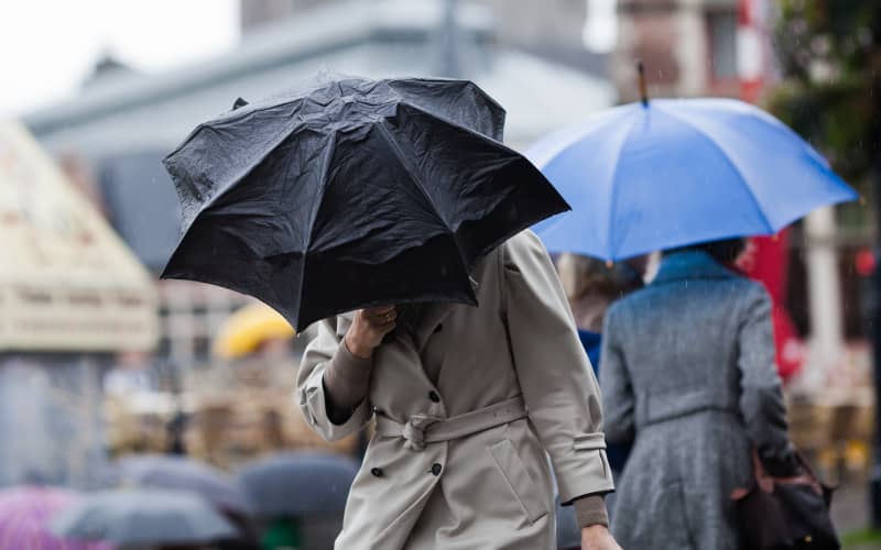 Why is it raining so much and when will it stop? | RNZ