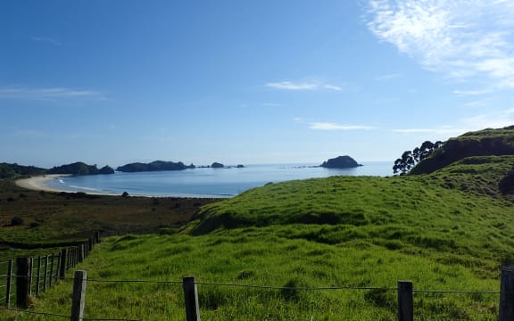 A panoramic view of a bay in Northland.