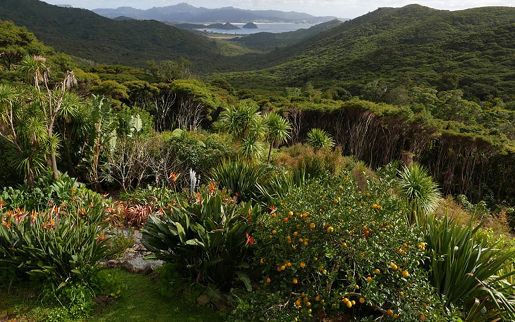 Windy Hill, Great Barrier Island