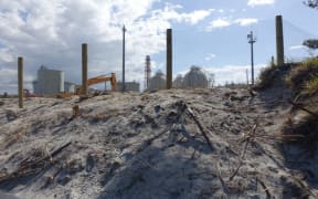 Dune erosion at Marsden Point, in front of the oil refinery.