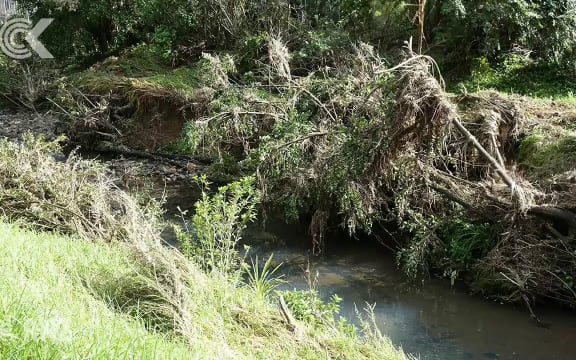 Piha residents call for emergency plan