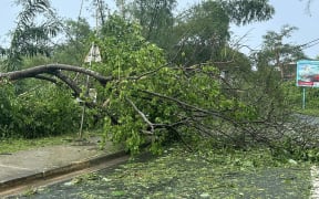 This handout picture taken on March 1 and released by Oliver Blinks through his Instagram handle @blinnx shows a road blocked by an uprooted tree after Cyclone Judy made landfall in Port Vila.