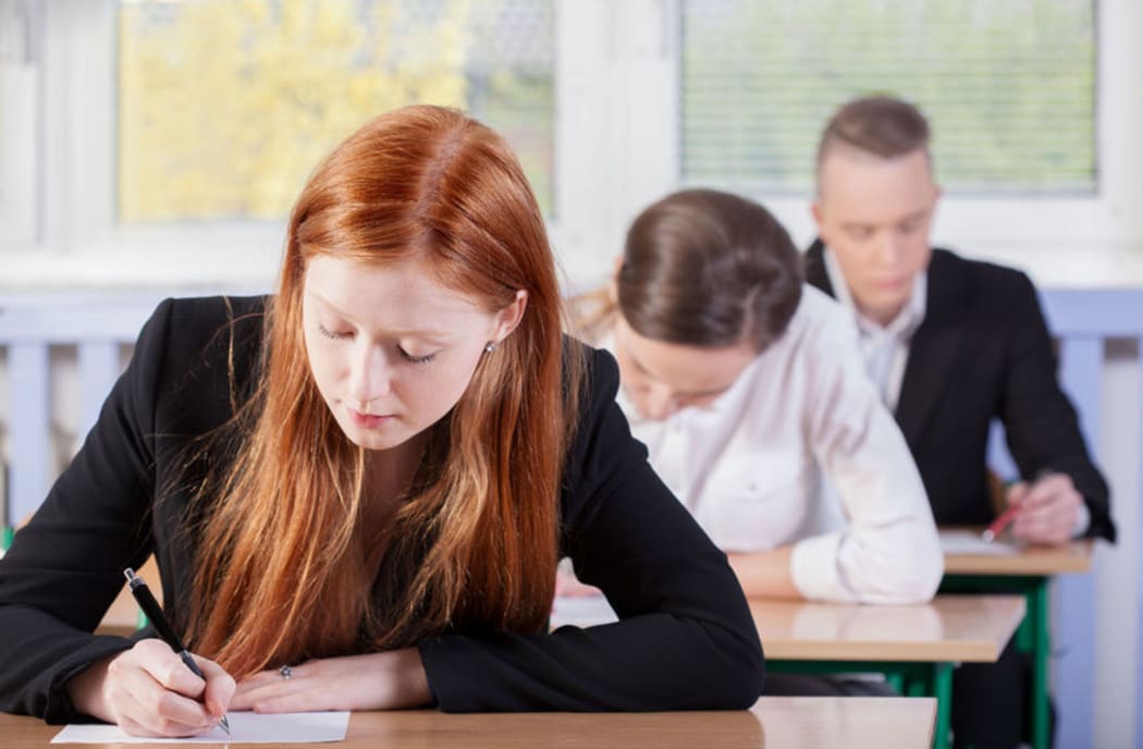 The PPTA says the NCEA has problems caused by 'political meddling'.