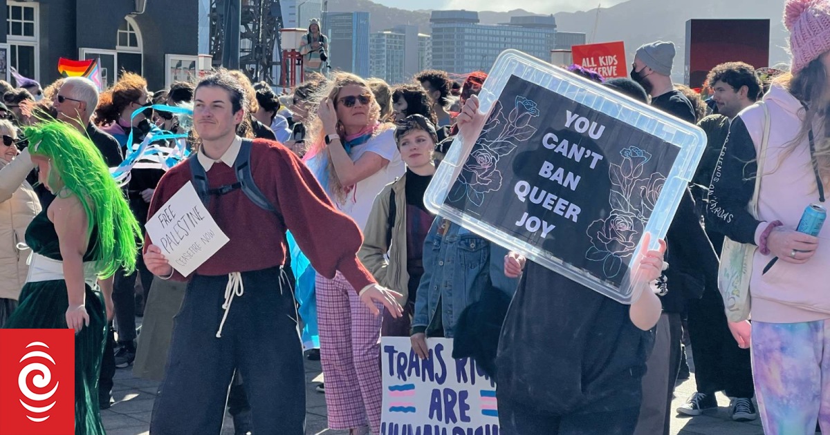 Hundreds protest outside controversial conference in Wellington
