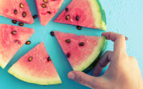 slice of ripe water melon in hand