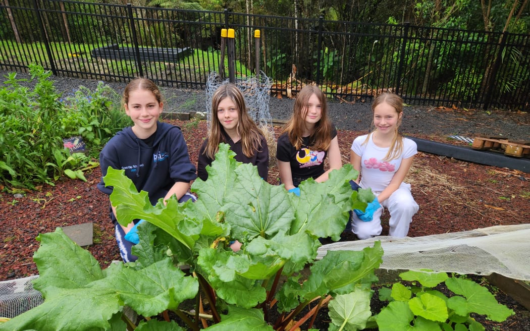 The Year 8 student team in charge of food scrap recycling in the school vegetable garden. From left to right - Arielle Oswald, Leah Andrell, Morgan Price, Madison Freestone