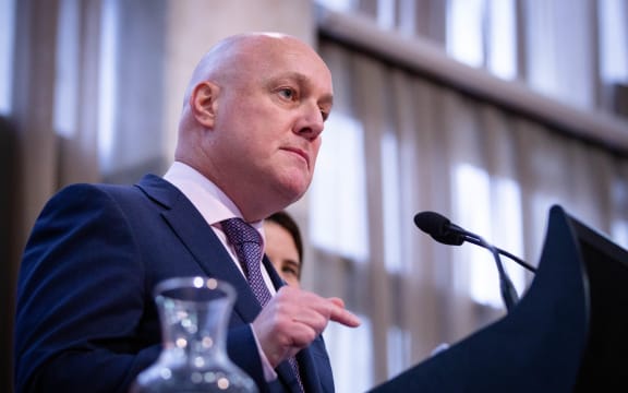 Christopher Luxon speaks to media after being named leader of the National Party