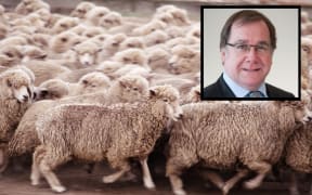Murray McCully