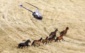 The annual muster is planned for late May.