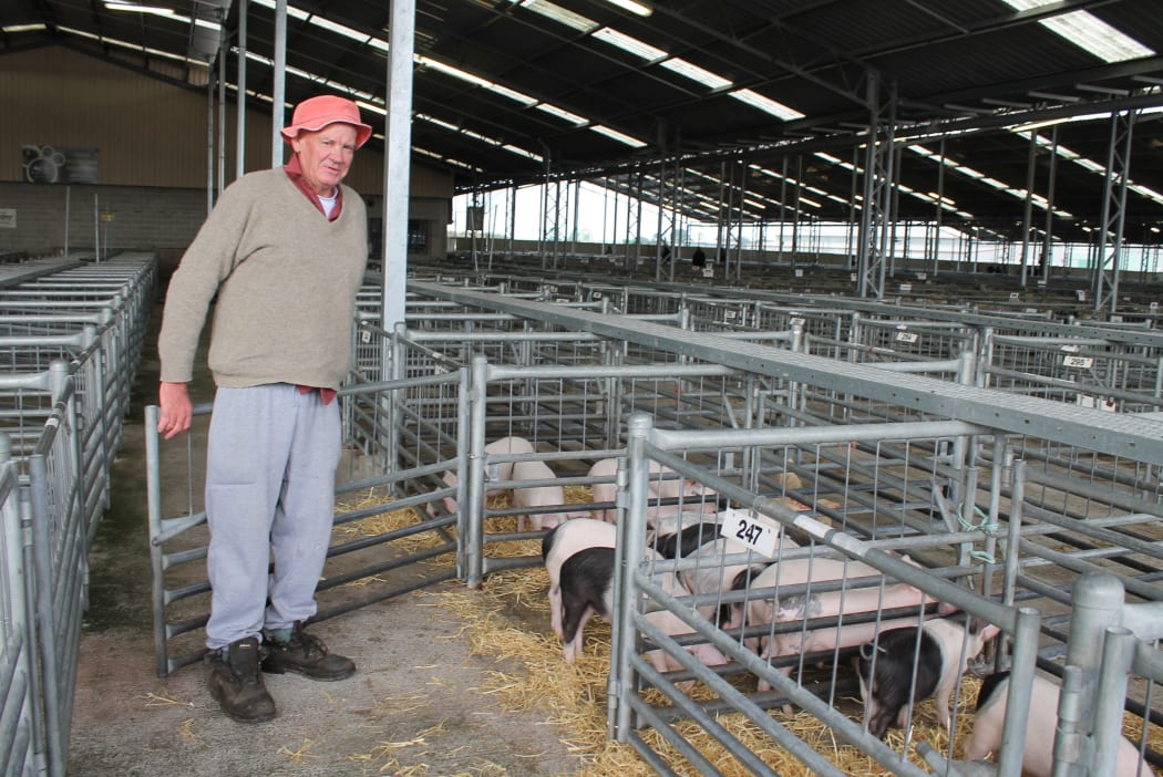 Colin Bunting and piglets