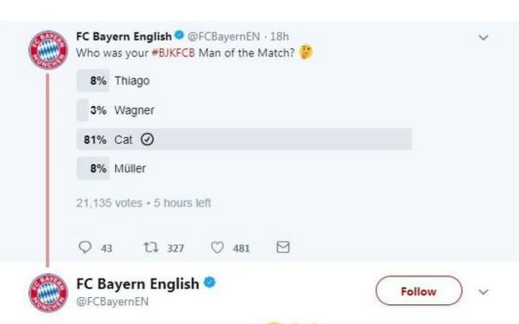 The cat was voted player of the match by Bayern Munich fans.