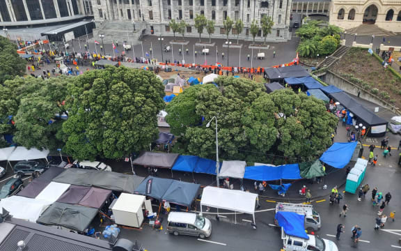 Protesters' vans and cars blocking Molesworth St outside Parliament grounds, and tarpaulin awnings set up on the road and footpath.