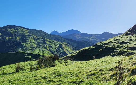 Mt Hikurangi, Tai Rāwhiti