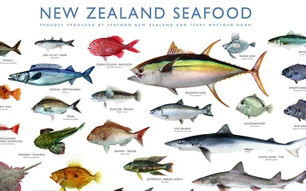 The famous in NZ seafood poster.