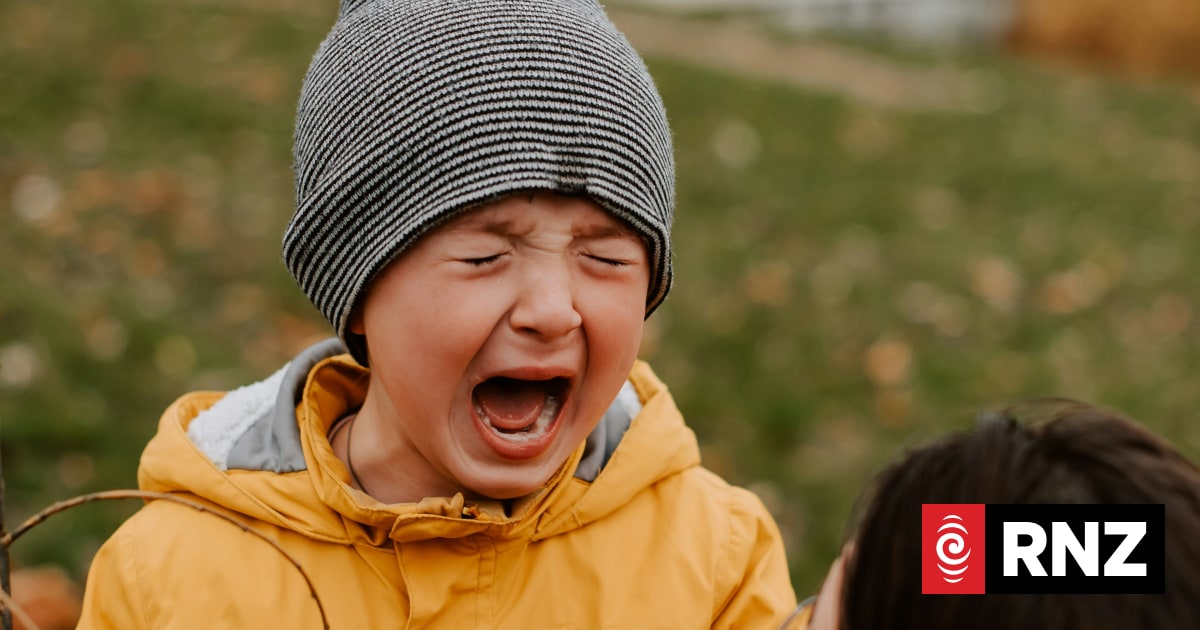 'I hate you!': what little kids really mean when they say this