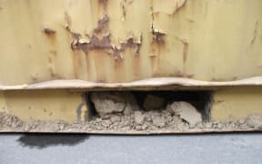 Soil contaminated with invasive alien species can also be easily transported via sea containers.