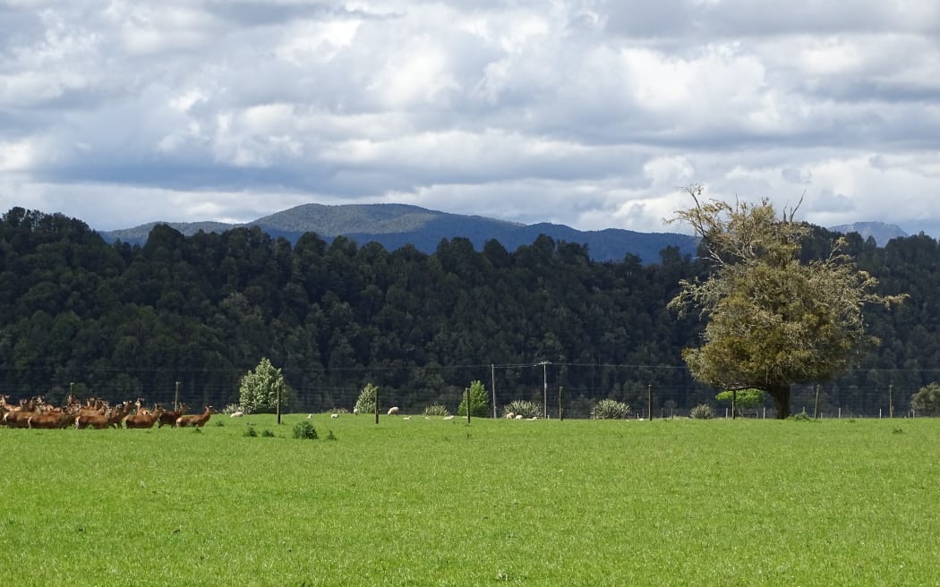 Significant Natural Areas SNA at Waipuna Station