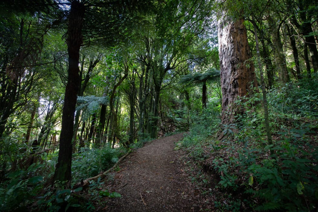 Pest control efforts will help native species at the Pūkaha National Wildlife Centre.