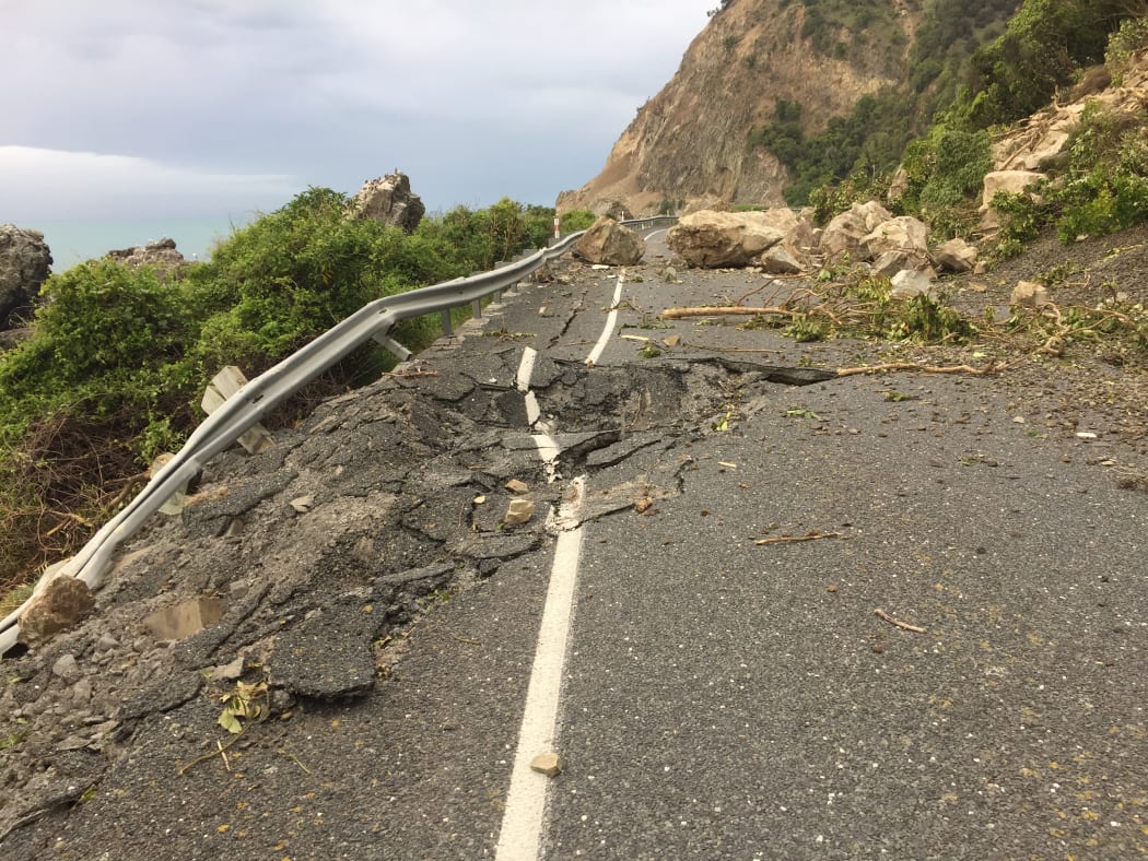 Destruction near Ohau Point seal colony