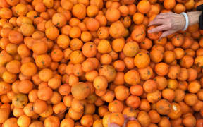 Citrus anyone?