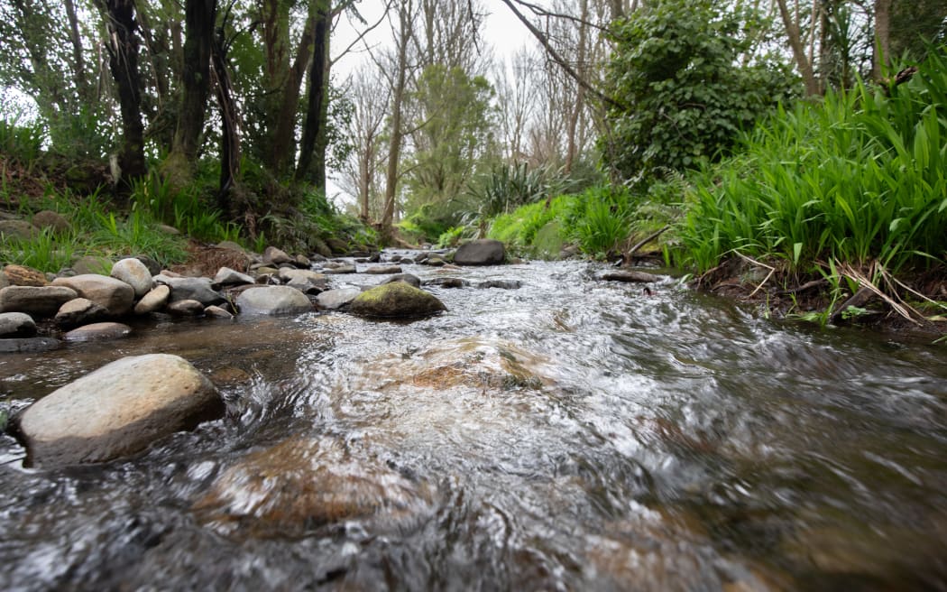 The Mangapiko stream.