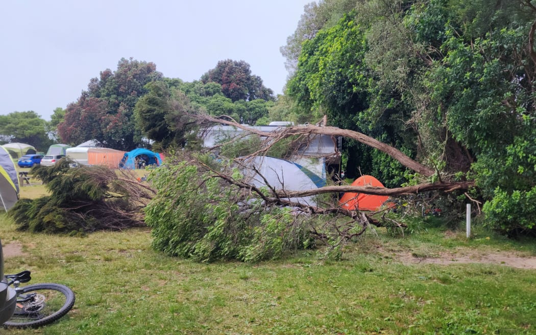 Campers at Totaranui Abel Tasman National Park had a near miss when a tree came down on some of their tents. They had moved into a caravan shortly before due to bad weather.