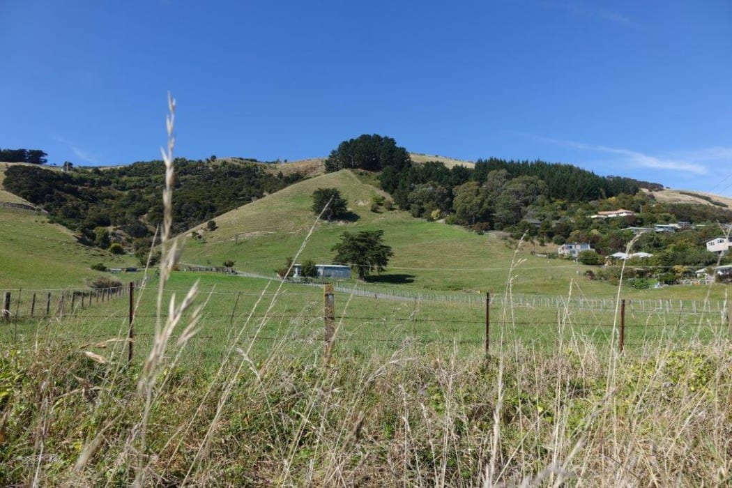 Rural land in north Nelson is earmarked for a large subdivision to satisfy a rapidly growing need for more housing.