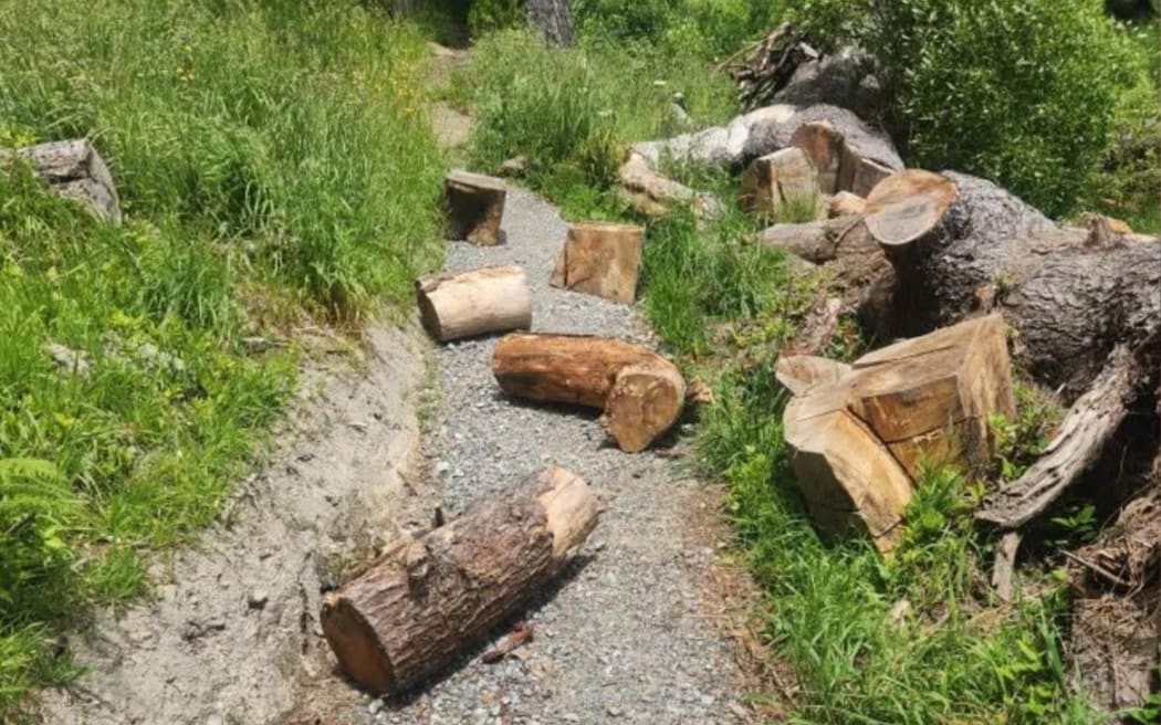 Wellington City Council park rangers are installing motion-activated cameras in the Town Belt on Matairangi/Mt Victoria after a spate of vandalism that appears to target mountain bikers.