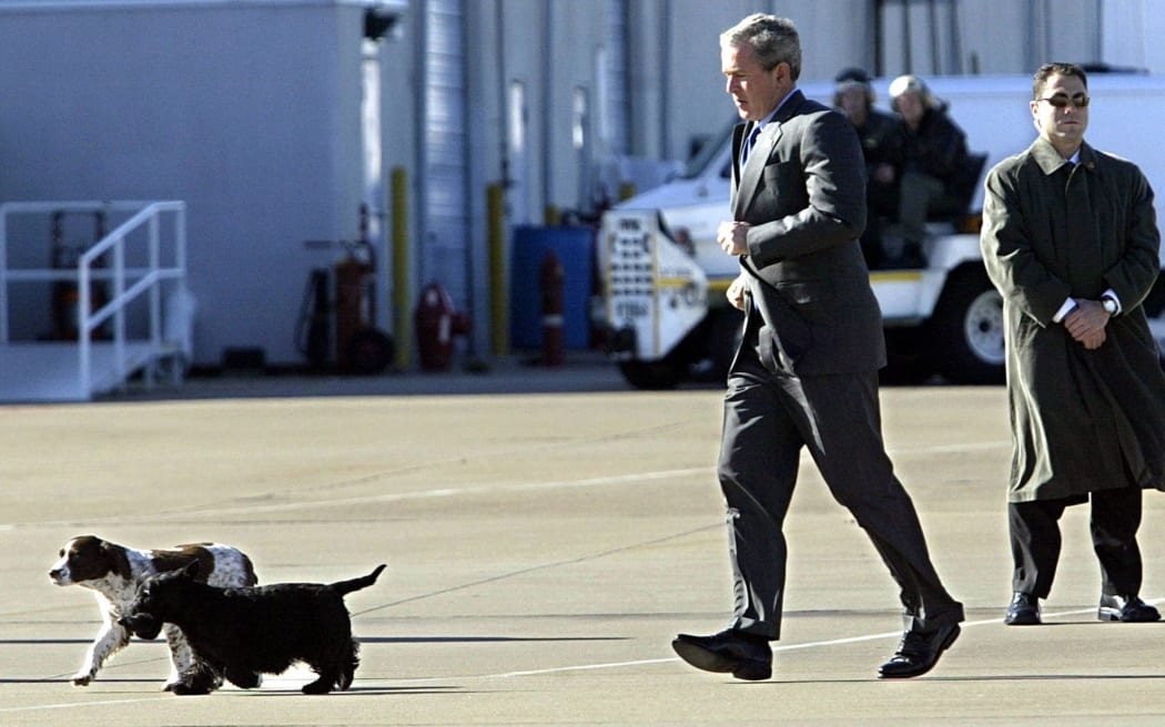 US President George W. Bush runs after his two dogs Spot (L) and Barney (R) after deboarding Marine One 30 November 2003 in Waco, Texas.