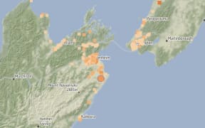 A moderate earthquake was felt in Seddon on Friday afternoon.