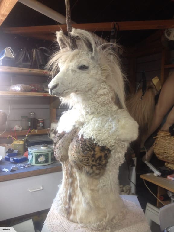 Taxidermy Unicorn