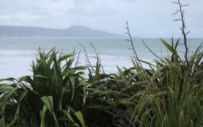 Māhia Peninsula is in the northern part of Hawke's Bay and home to Rocket Lab's launch site