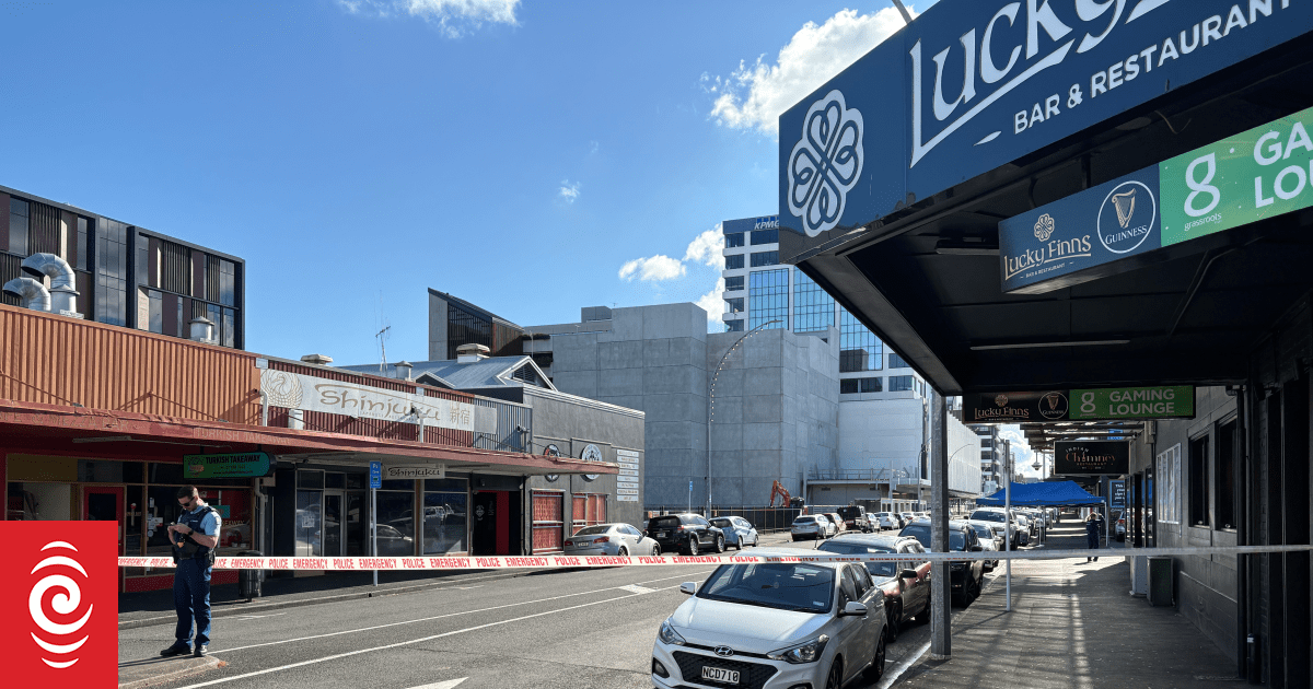 Hamilton brawl: Police appeal for witnesses, vehicles of interest after ...