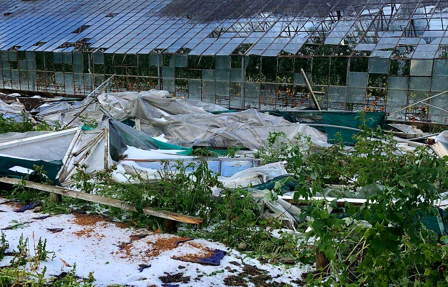 A glasshouse in Motueka was ripped apart by a twister, which also dislodged the support posts in an old wooden glasshouse.