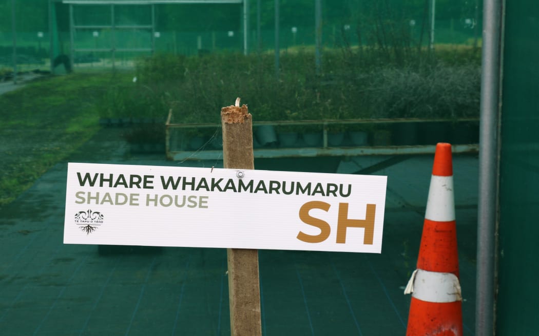 Te Kōhaka o Tāne
