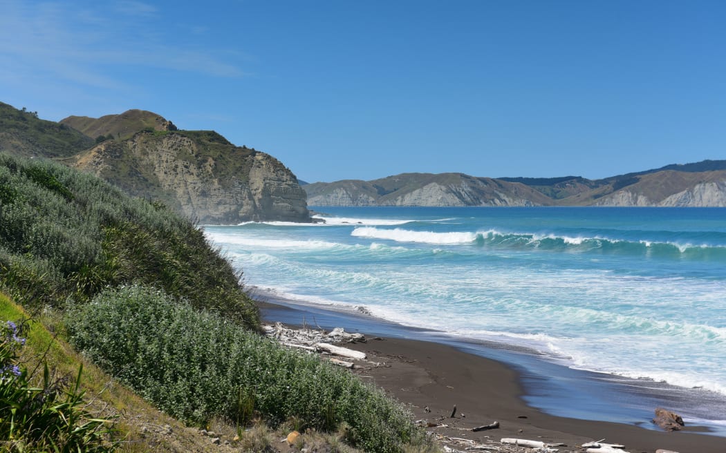 Hill and beach landscape at Mahia Peninsula