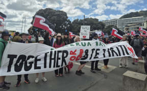 Waitangi Park has almost cleared out, the tail-end of the hīkoi is moving slowly towards Courtney Place.