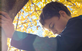 boy thoughtful with tree