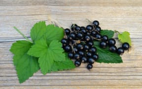 Blackcurrants