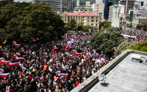 Hikoi welly