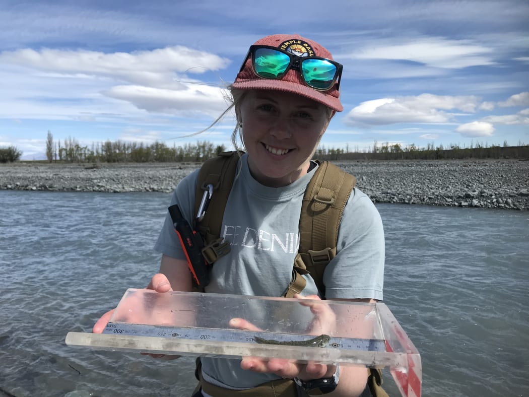A woman with a cap and sunglasses wearing a backpack holds up a piece of plastic with a small brown fish on it. The woman is standing in a river in front of a gravel riverbed.
