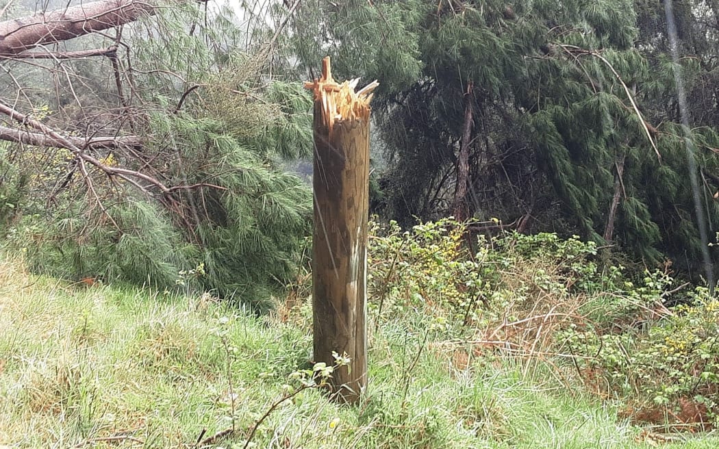 Trees are uprooted and powerlines down at Mt Lyford on the Inland Road.