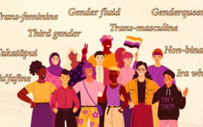 Gender and pronouns