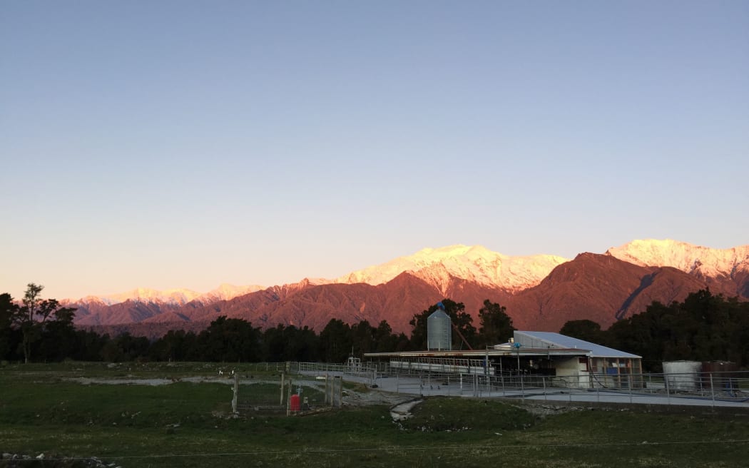 Chris Staples' dairy farm near the Franz Joseph Glacier.