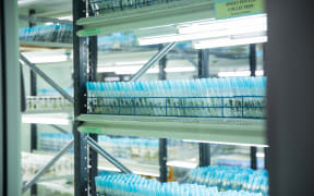 CePaCT seed and plant genebank in Suva
