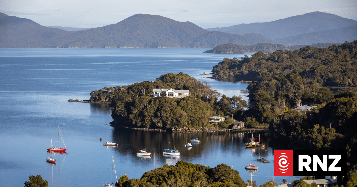 No evidence of mice on Rakiura in trapping project - Vimarsana News